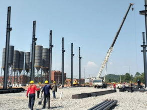 领导关怀暖人心，装配式建筑产业基地建设项目稳步推进